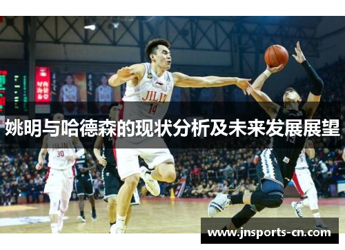 姚明与哈德森的现状分析及未来发展展望